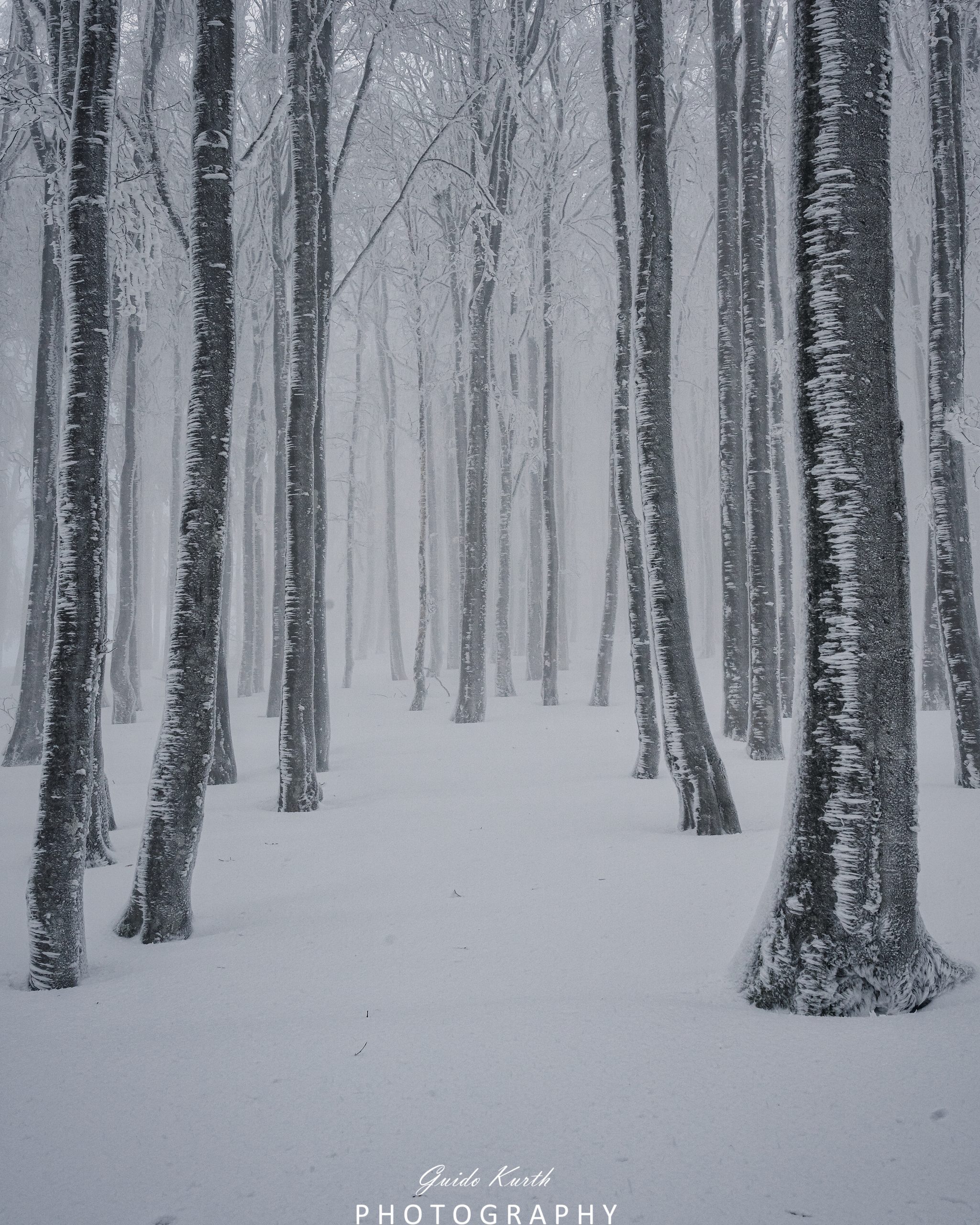 Du betrachtest gerade Kandel Winter