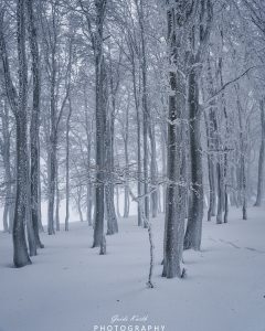 Mehr über den Artikel erfahren Kandel Winter