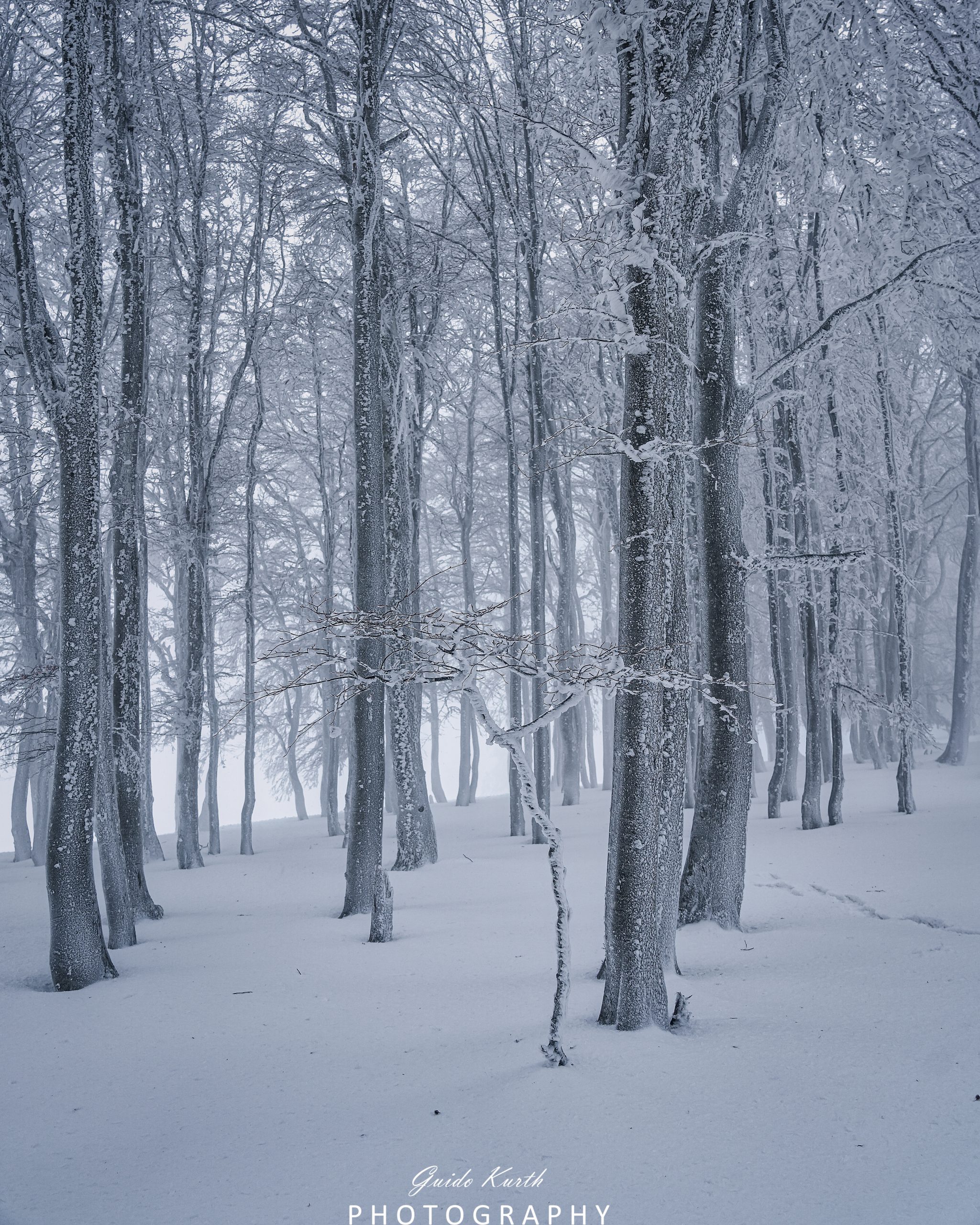 Du betrachtest gerade Kandel Winter