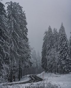 Mehr über den Artikel erfahren Kandel Winter