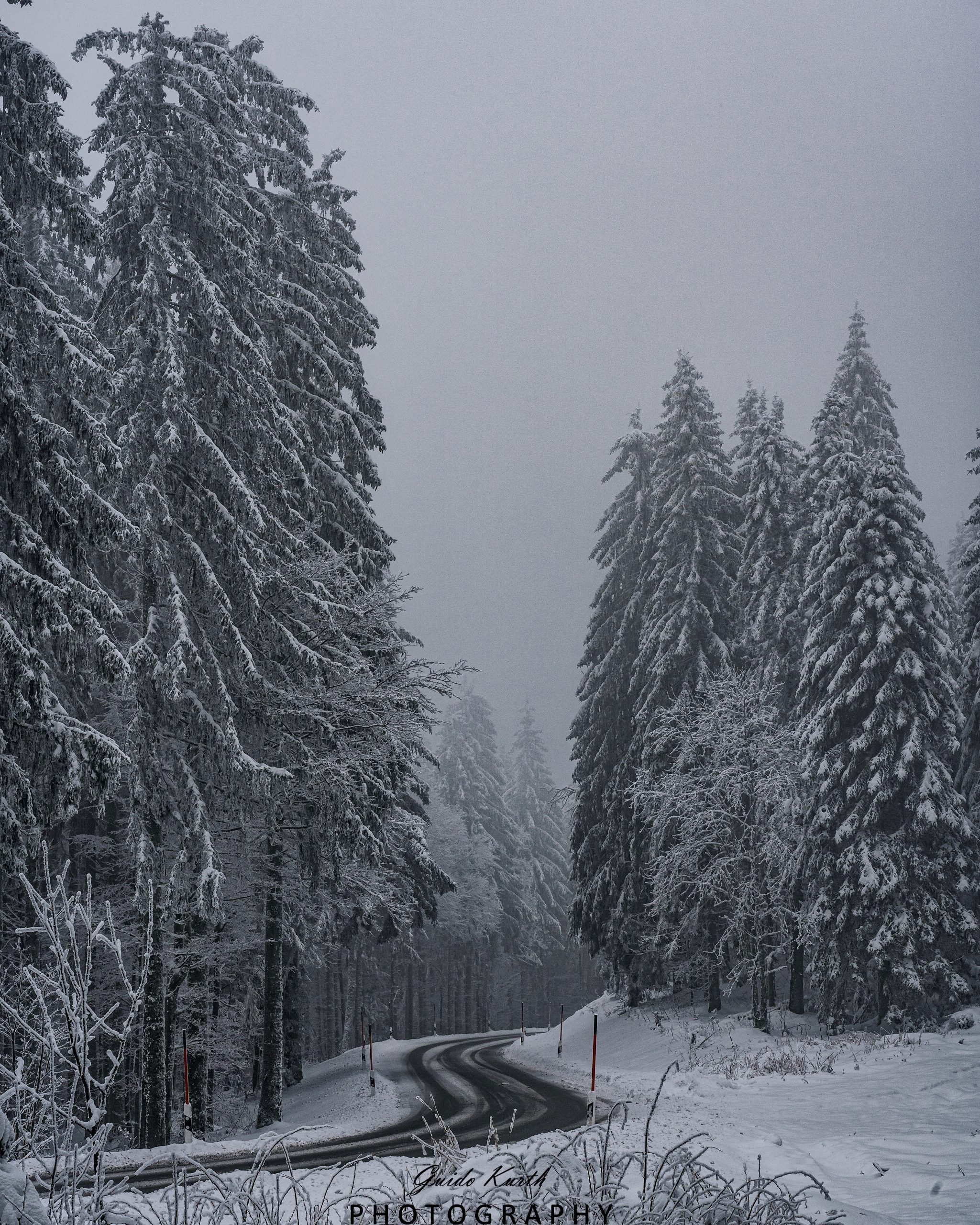 Du betrachtest gerade Kandel Winter