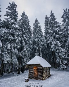 Mehr über den Artikel erfahren Kandel Winter