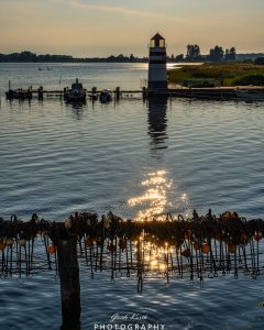 Mehr über den Artikel erfahren Waase