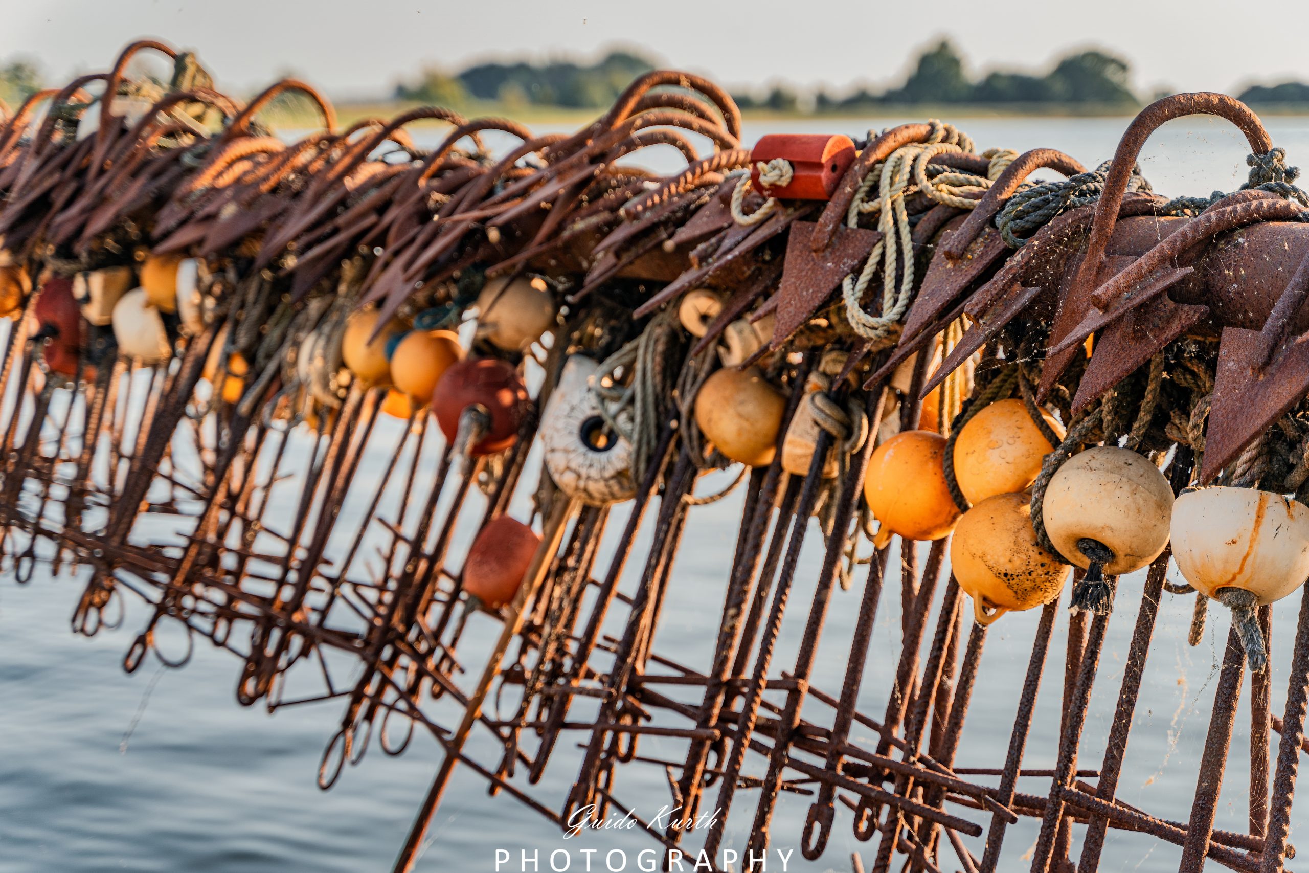Mehr über den Artikel erfahren Waase