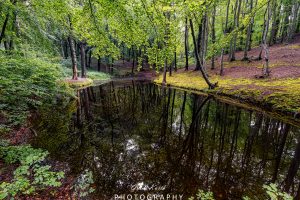 Mehr über den Artikel erfahren Lietzow