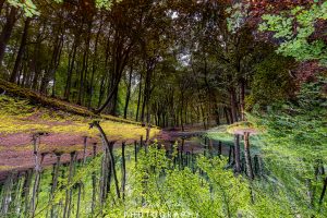 Mehr über den Artikel erfahren Lietzow/oben und unten