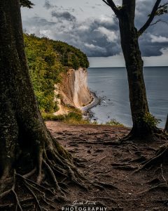 Mehr über den Artikel erfahren Jasmund Nationalpark