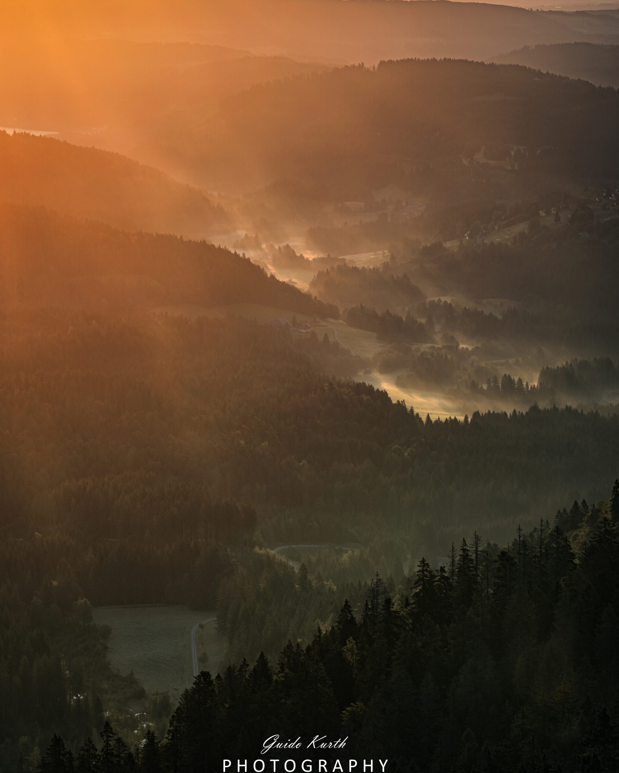 Du betrachtest gerade Nebel im Schwarzwald
