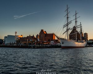 Mehr über den Artikel erfahren Stralsund