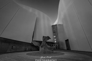 Mehr über den Artikel erfahren Stralsund Ozeaneum