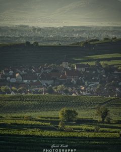 Mehr über den Artikel erfahren Burkheim