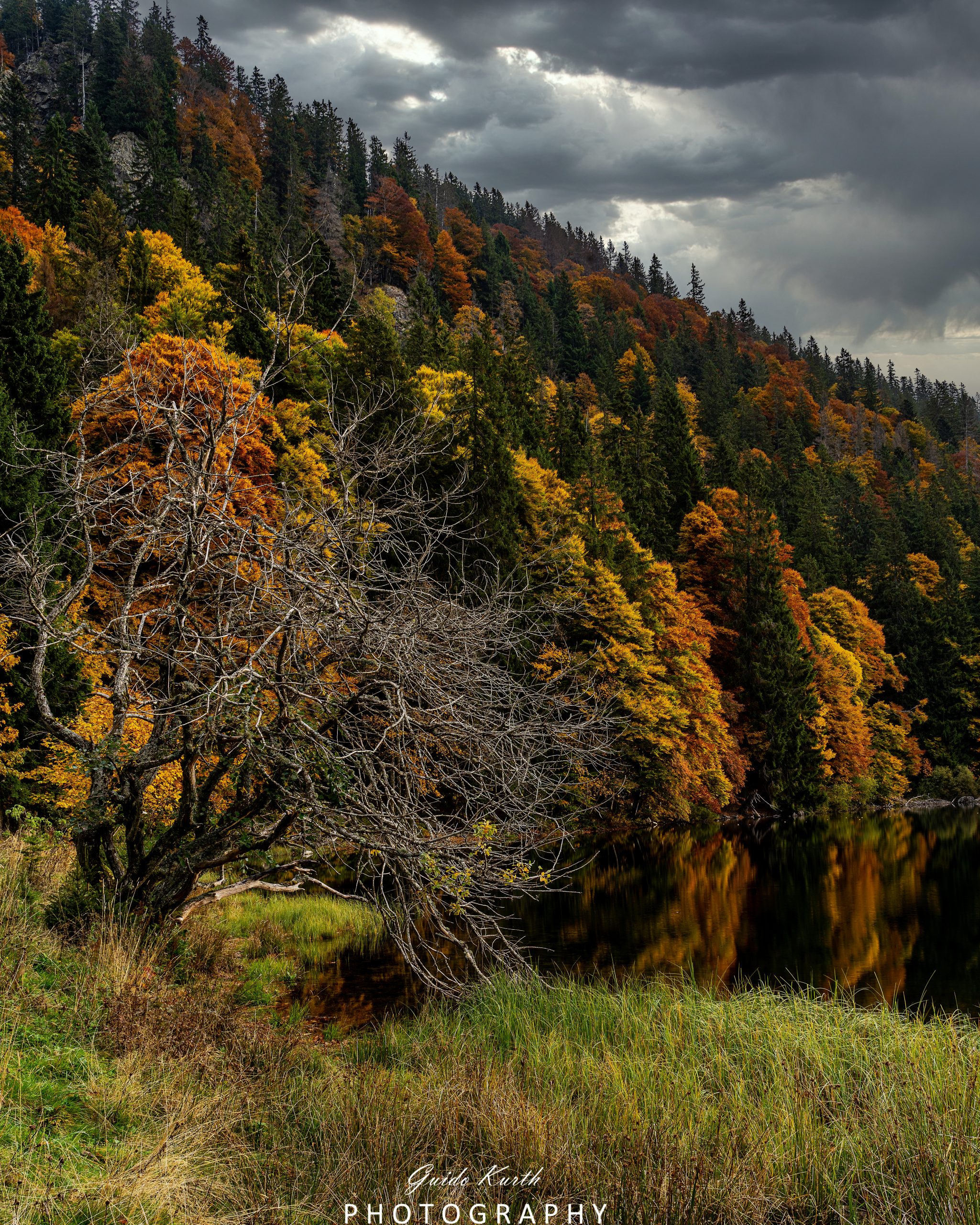 Du betrachtest gerade Feldsee Herbst