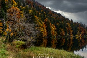 Mehr über den Artikel erfahren Feldsee Herbst