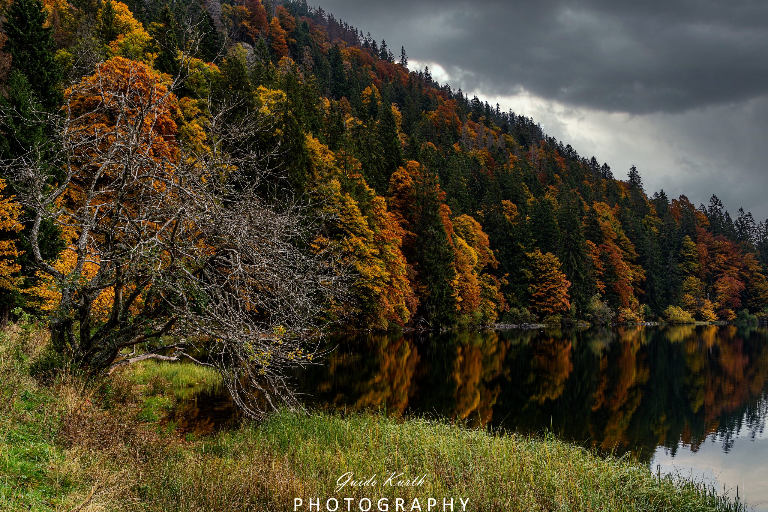 Mehr über den Artikel erfahren Feldsee Herbst