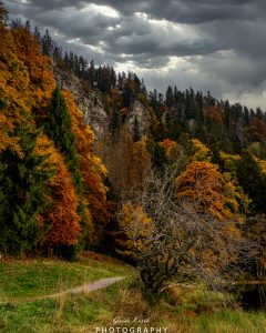 Mehr über den Artikel erfahren Feldsee Herbst