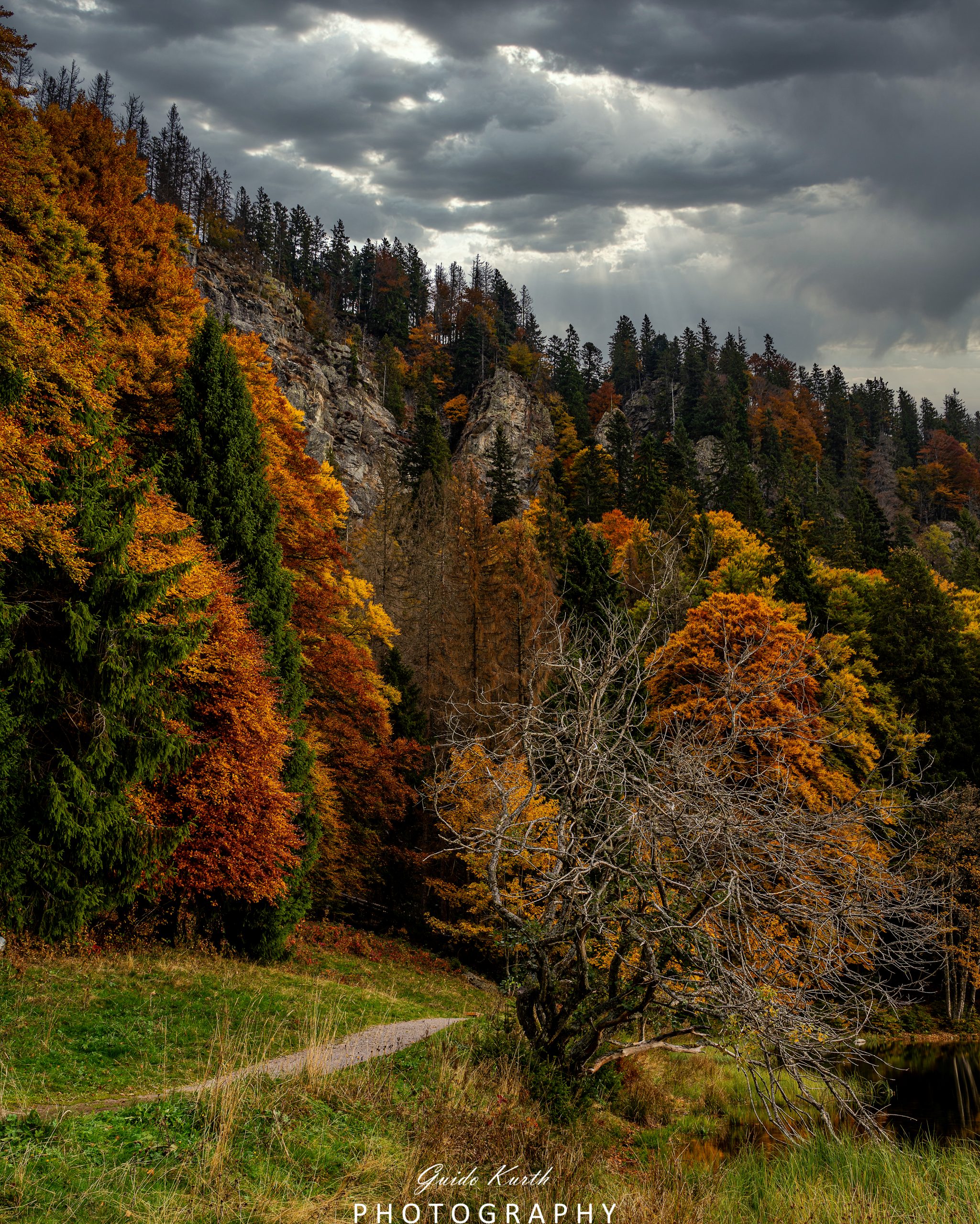 Du betrachtest gerade Feldsee Herbst