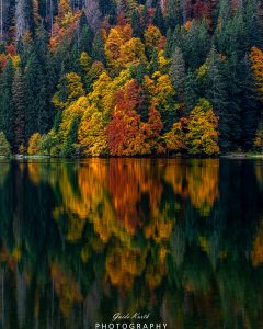 Mehr über den Artikel erfahren Feldsee Herbst