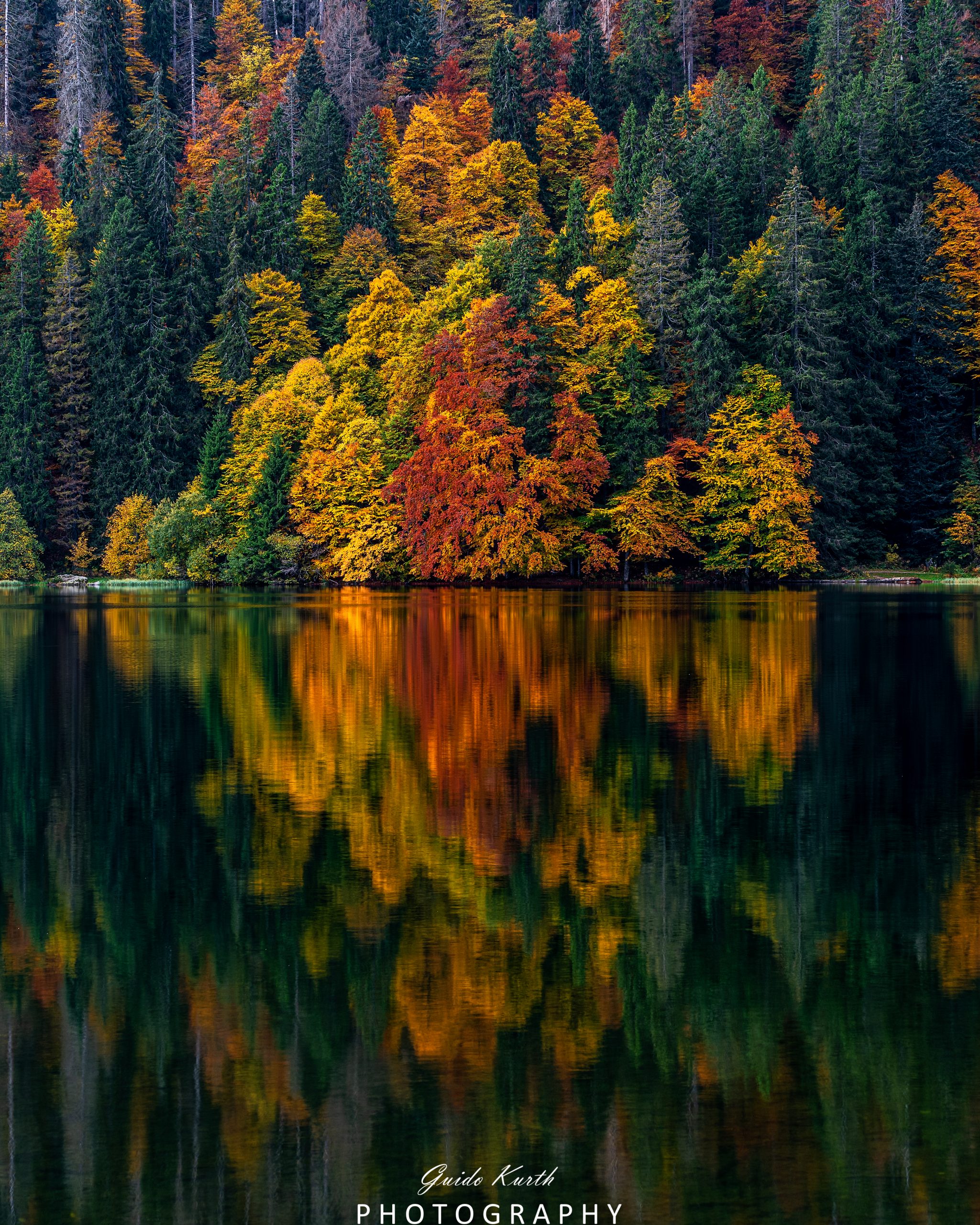 Du betrachtest gerade Feldsee Herbst