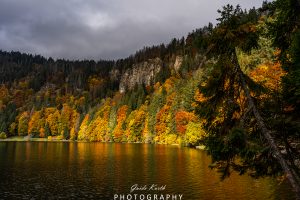Mehr über den Artikel erfahren Feldsee Herbst