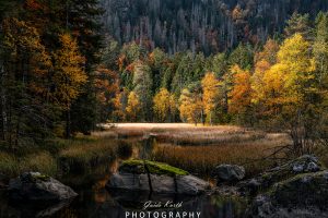 Mehr über den Artikel erfahren Feldsee Herbst