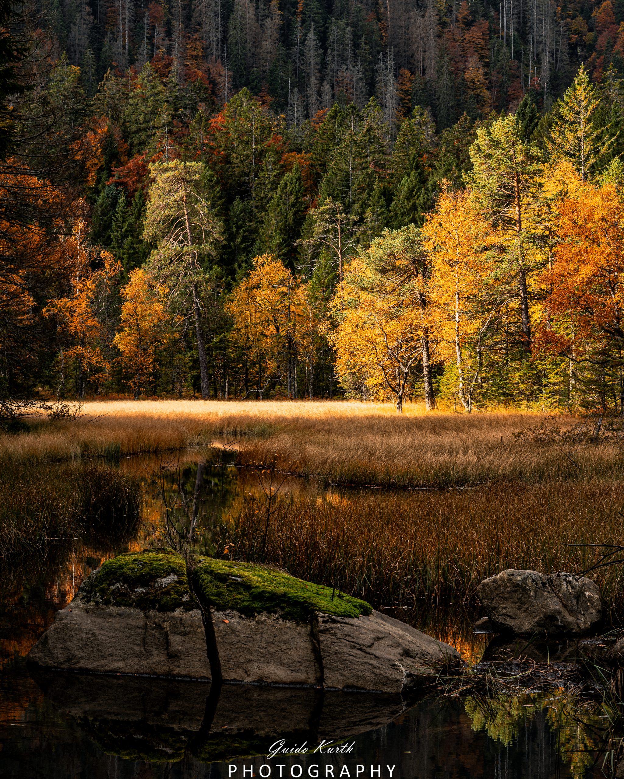Du betrachtest gerade Feldsee Herbst