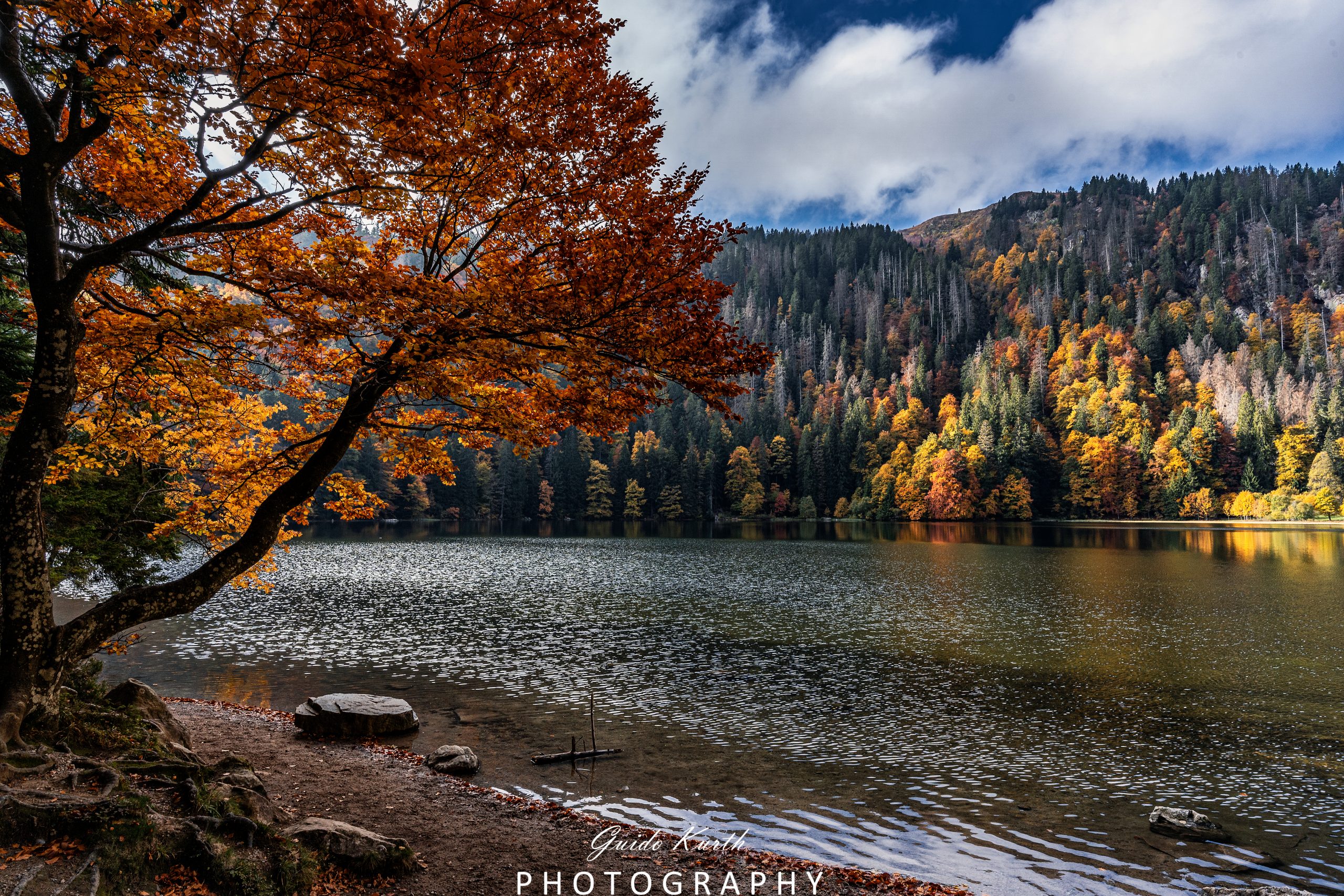 Du betrachtest gerade Feldsee Herbst
