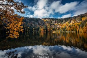 Mehr über den Artikel erfahren Feldsee Herbst