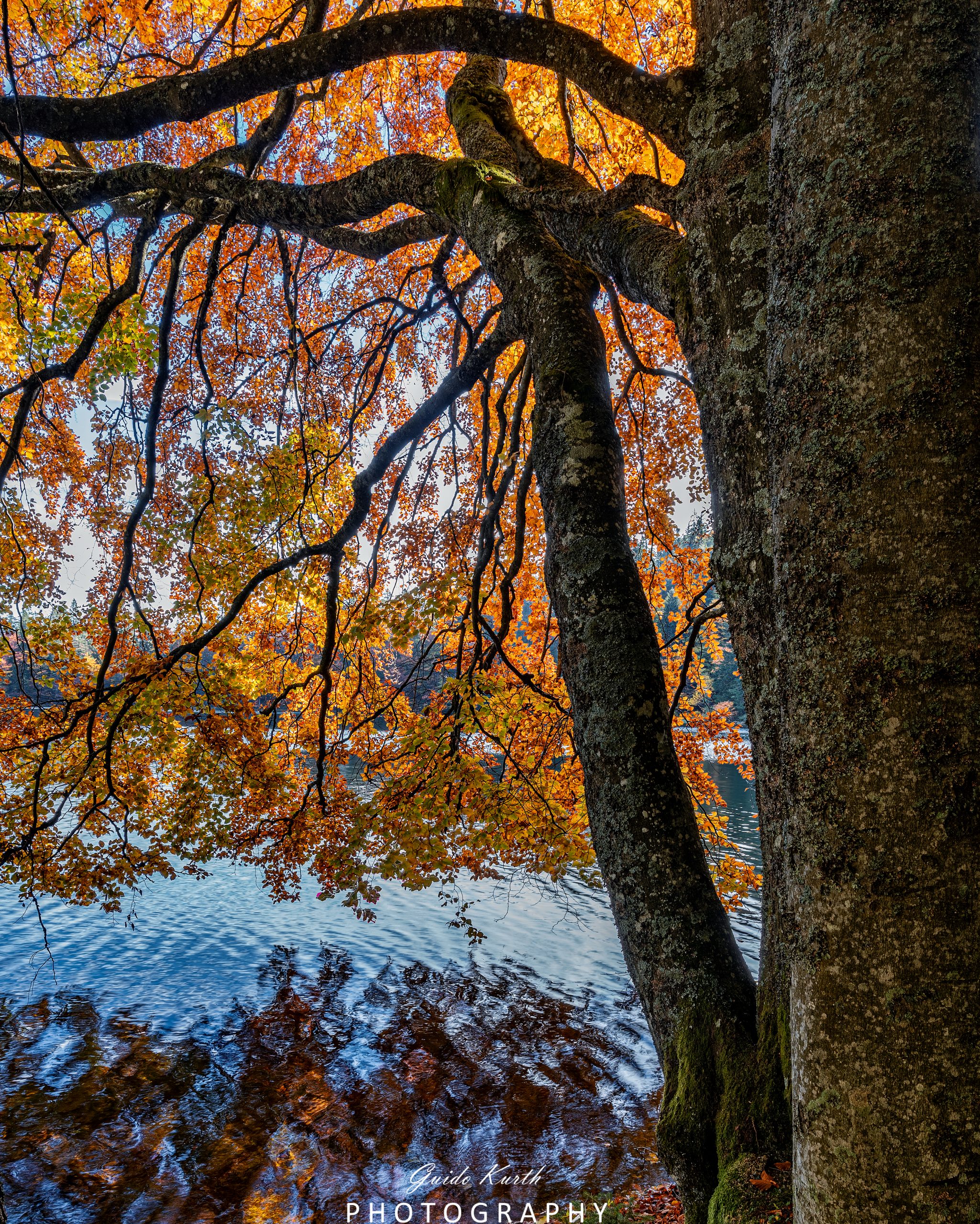 Du betrachtest gerade Feldsee Herbst