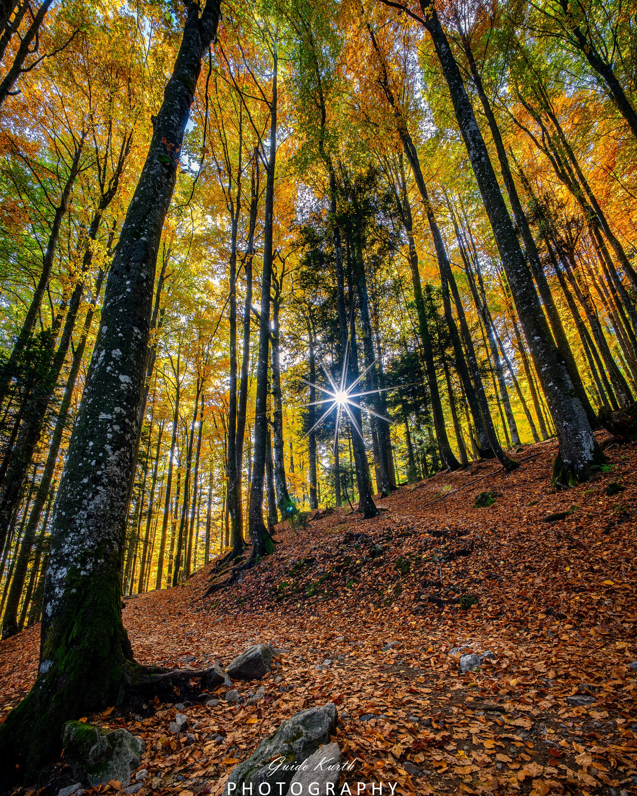 Du betrachtest gerade Feldsee Herbst
