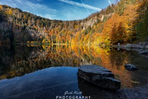 Mehr über den Artikel erfahren Herbst am Feldsee