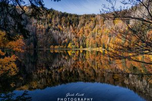Mehr über den Artikel erfahren Herbst am Feldsee