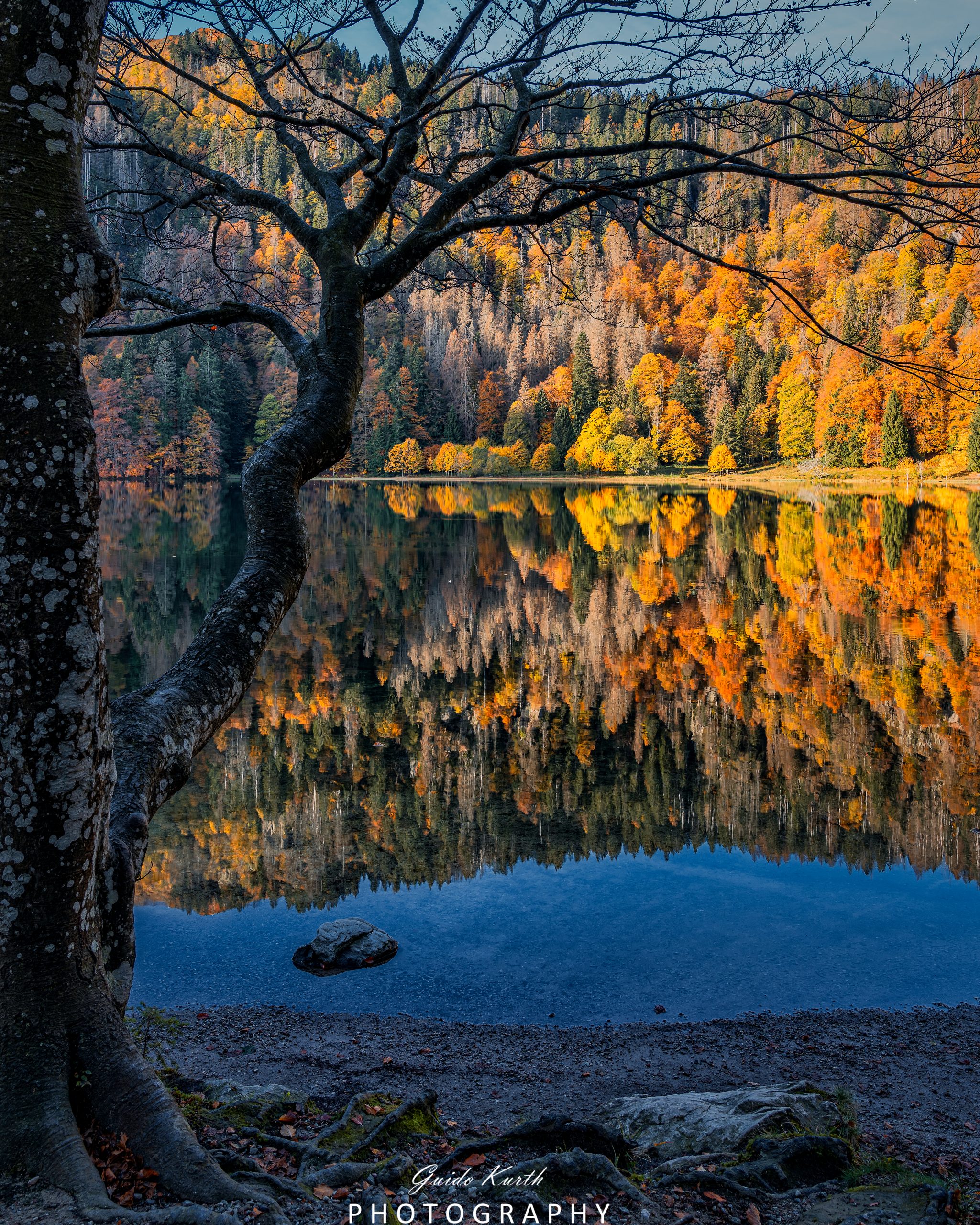 Du betrachtest gerade Herbst am Feldsee