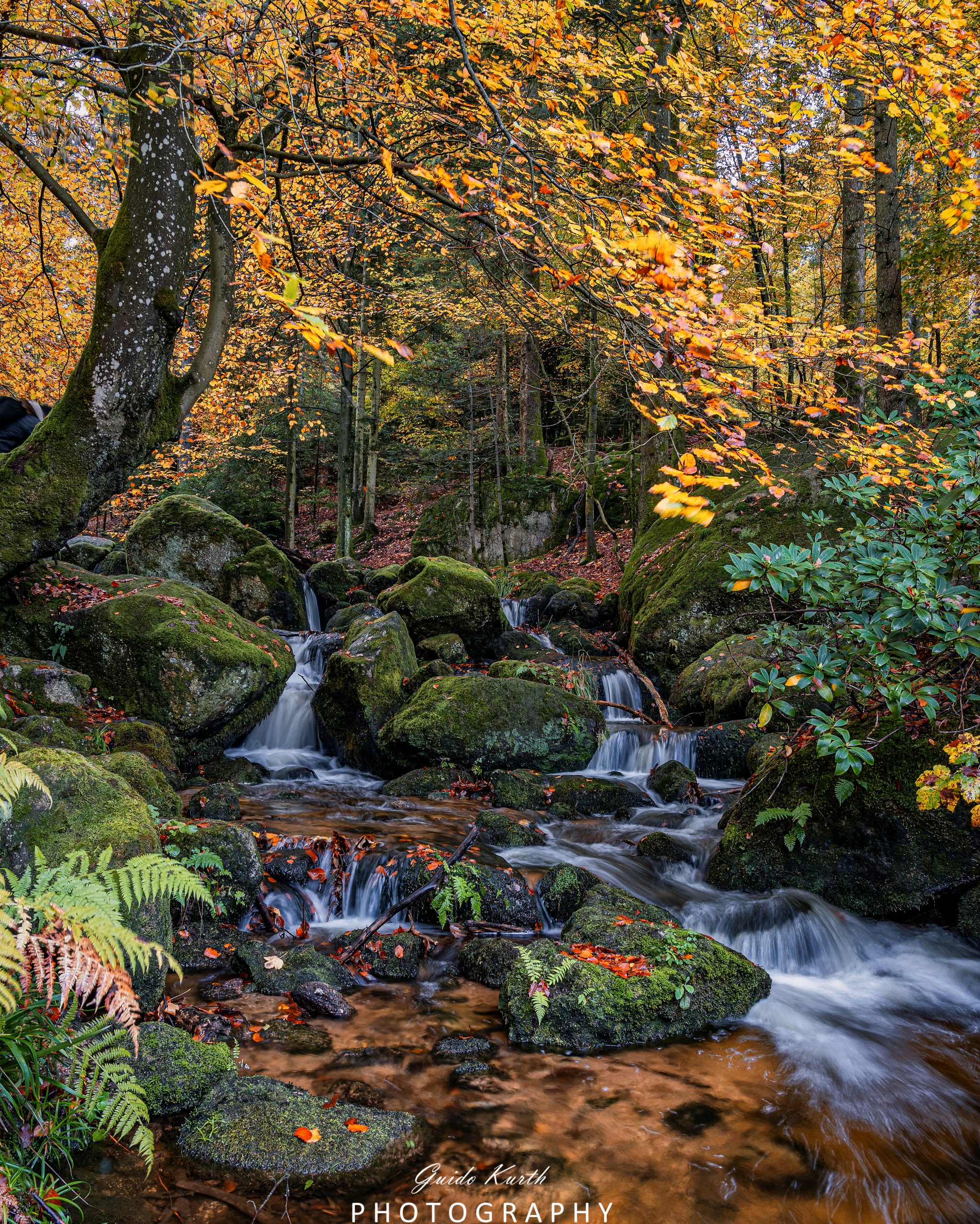 Du betrachtest gerade Wasserfälle Nordschwarzwald