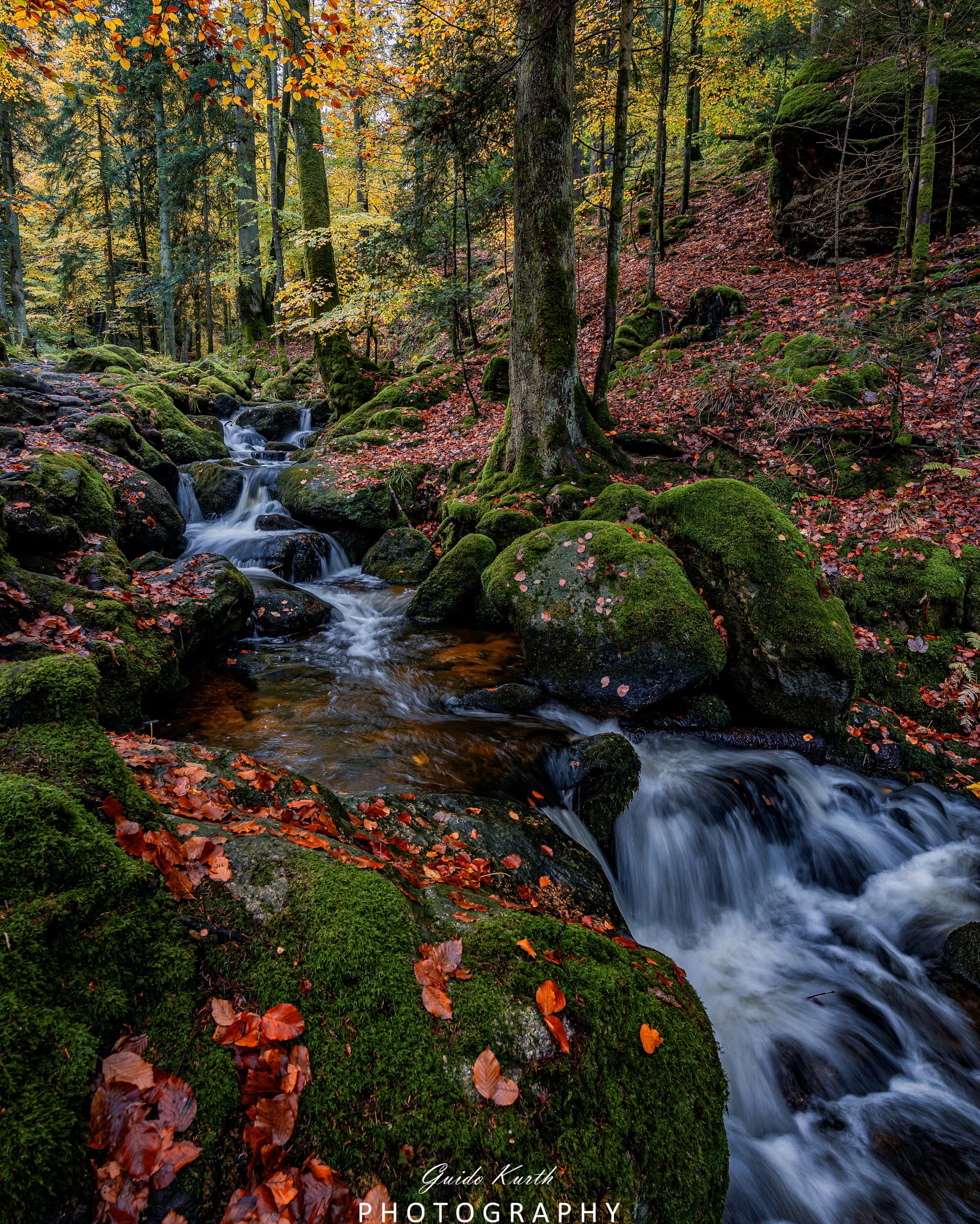 Du betrachtest gerade Wasserfälle Nordschwarzwald