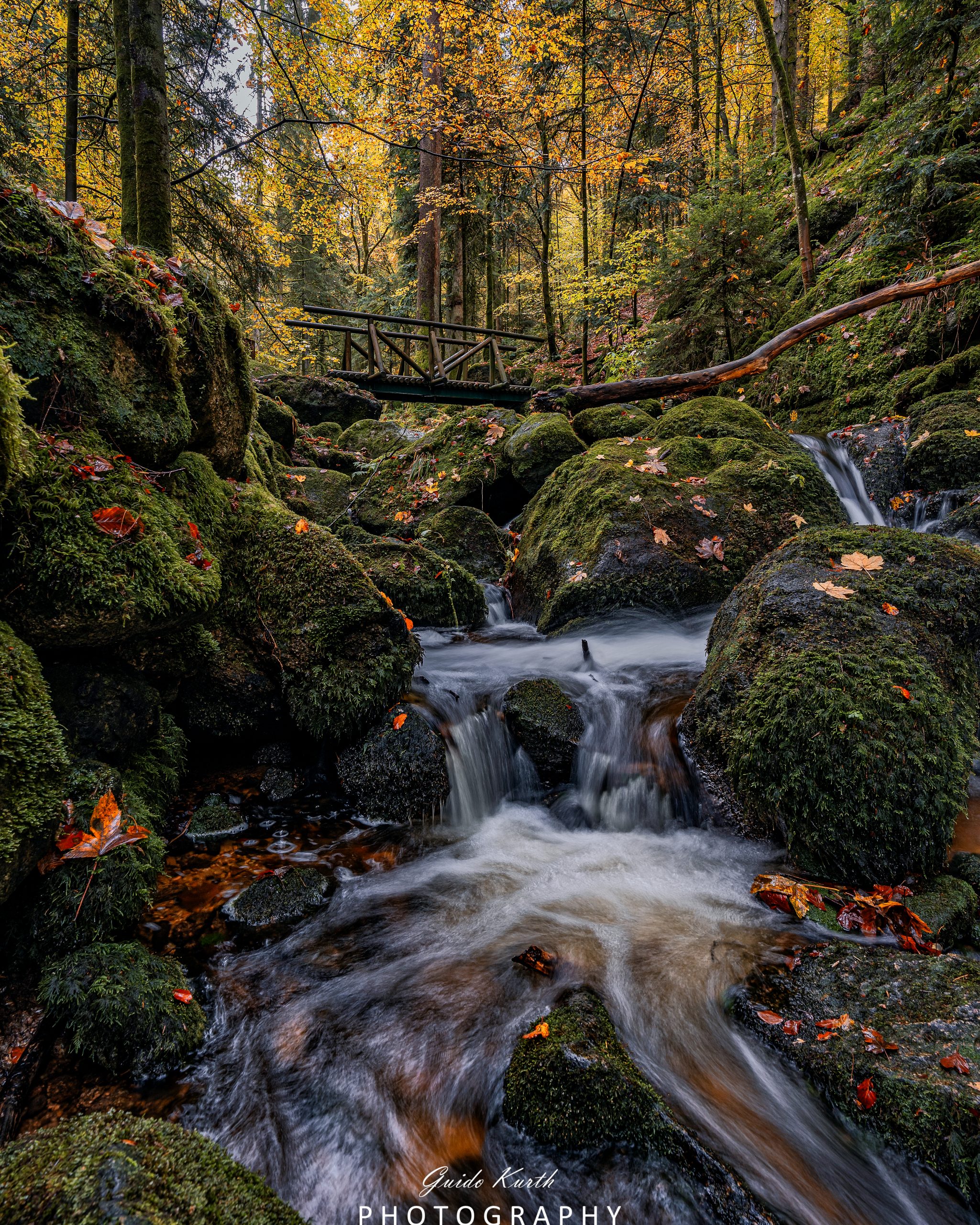 Du betrachtest gerade Wasserfälle Nordschwarzwald