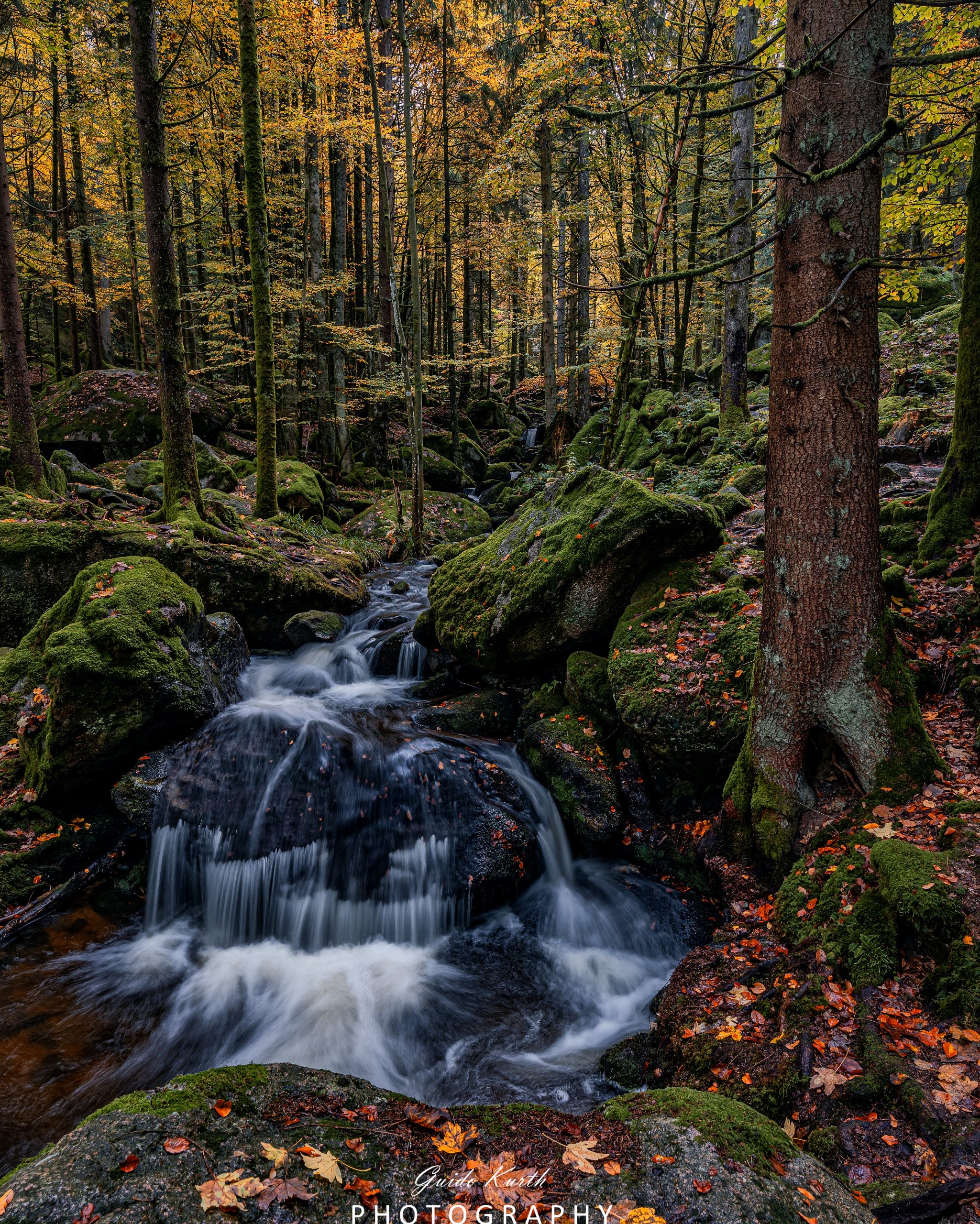 Du betrachtest gerade Wasserfälle Nordschwarzwald