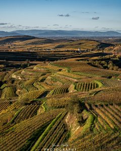 Mehr über den Artikel erfahren Bickensohl
