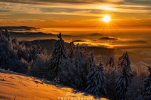 Mehr über den Artikel erfahren Winter Kandel