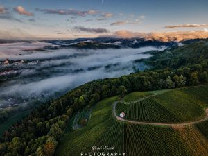 Mehr über den Artikel erfahren Morgennebel Denzlingen