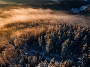 Mehr über den Artikel erfahren Kandel / Nebel und Schnee