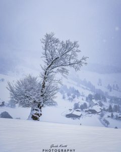 Mehr über den Artikel erfahren Lueg ins Land…
