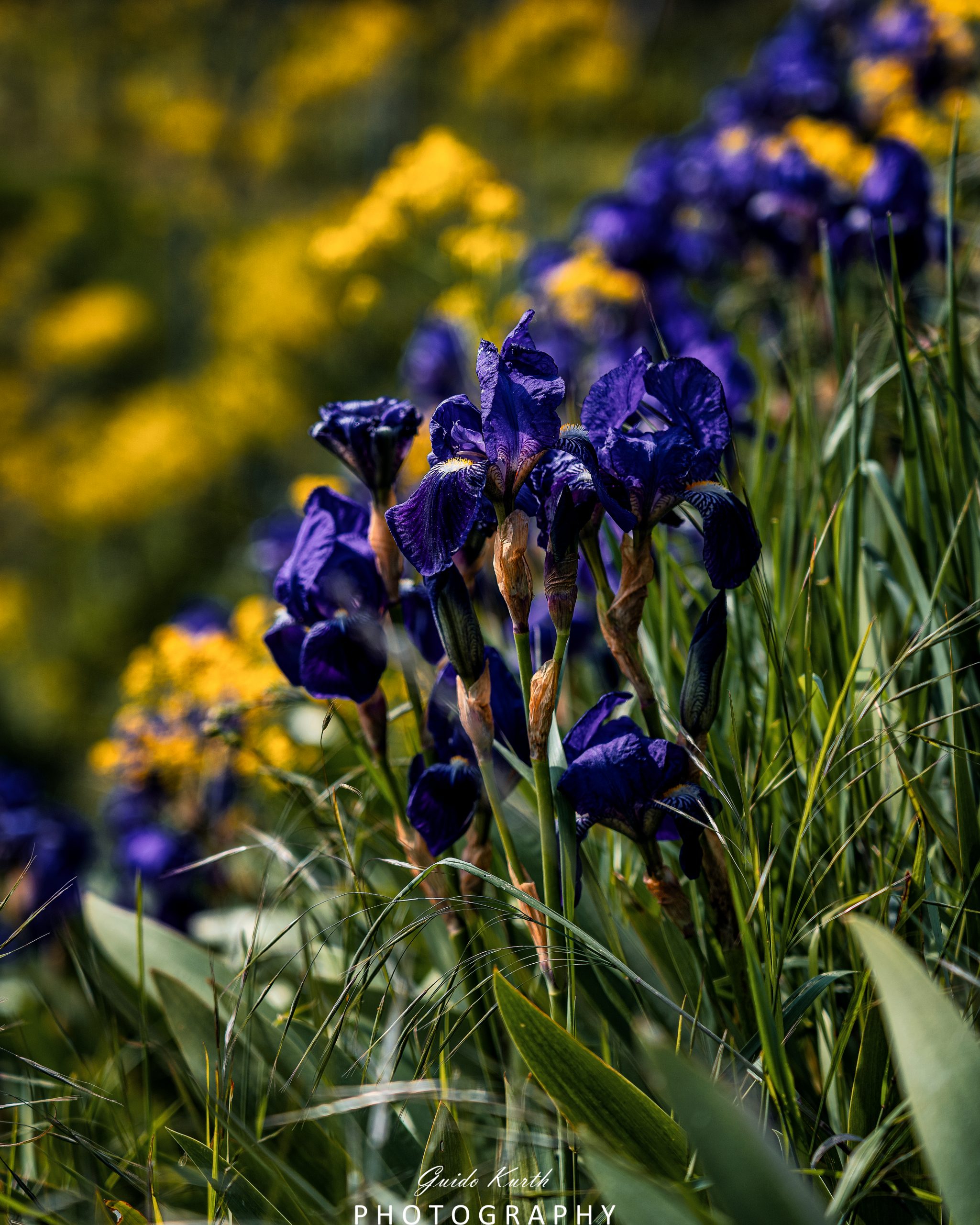 Du betrachtest gerade Farbexplosion…