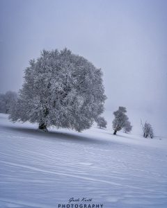 Mehr über den Artikel erfahren Lueg ins Land…