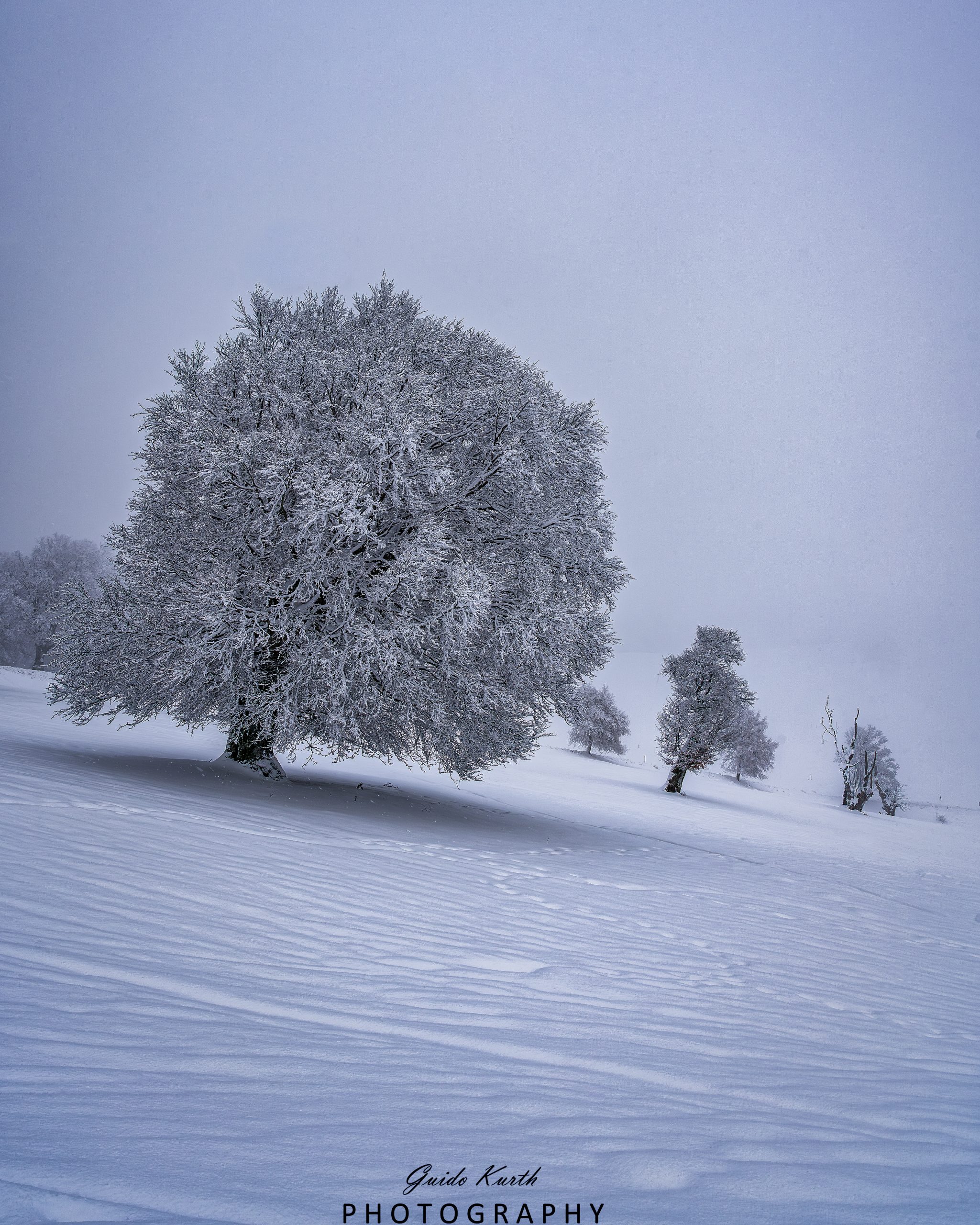 Du betrachtest gerade Lueg ins Land…