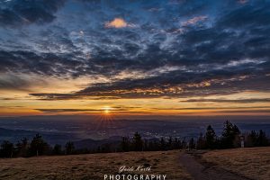 Mehr über den Artikel erfahren Glücksmoment…