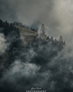 Mehr über den Artikel erfahren Dramatische Nebelstimmung…