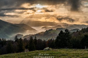 Mehr über den Artikel erfahren Lichtspiele…