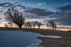 Mehr über den Artikel erfahren Morgenröte Schwarzwald…