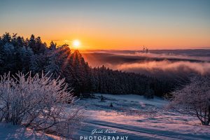 Mehr über den Artikel erfahren Der frühe Vogel fängt…