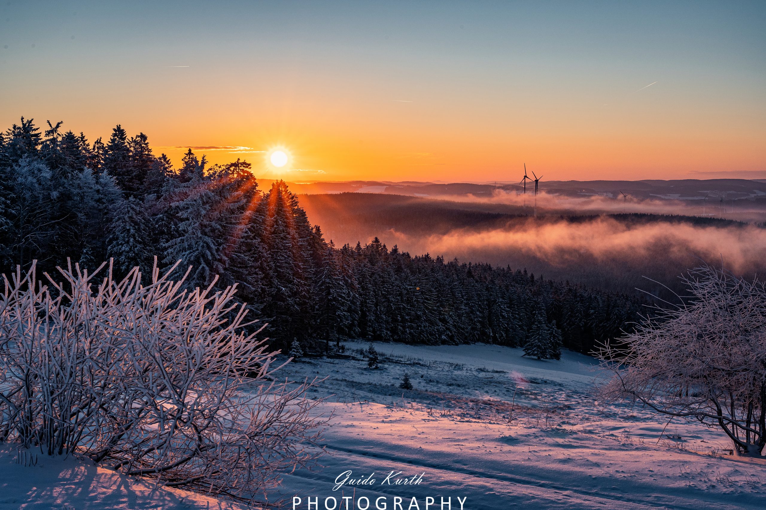 Du betrachtest gerade Der frühe Vogel fängt…
